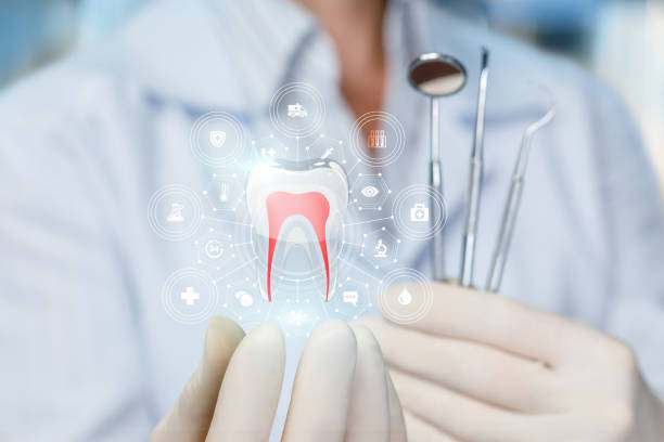 Our Range of Dental Services in Lockport Heights, IL